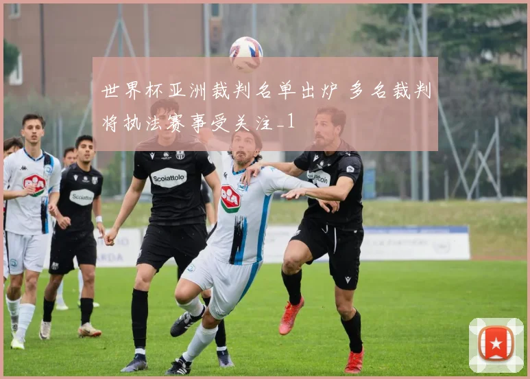 世界杯亚洲裁判名单出炉 多名裁判将执法赛事受关注_1